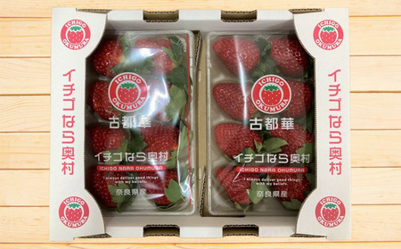 奈良県川西町産 高級ブランドいちご「古都華（ことか）」4パック入り