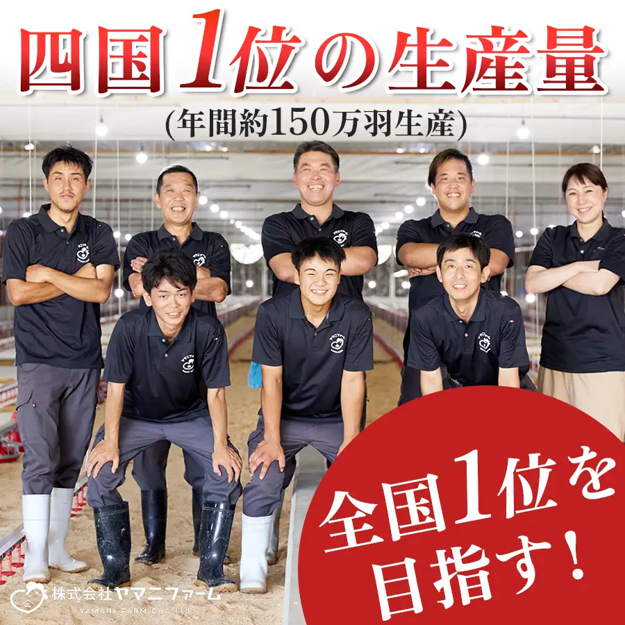 国産 鶏ささみ 2.2kg (220g×10P) 小分け 冷凍 高たんぱく 低脂質 よさこい尾鶏
