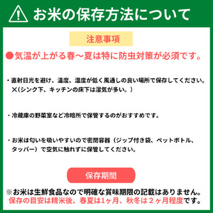 【令和７年産】丹波篠山産 コシヒカリ 5kg DS05