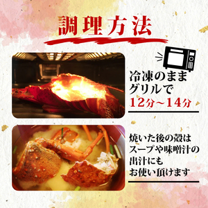 伊勢海老 干物 ２尾 海老 冷凍 小分け エビ ひもの 伊勢志摩 志摩 グリル バーベキュー 焼き物 みそ汁 味噌汁 スープ 三重県 お祝い ギフト