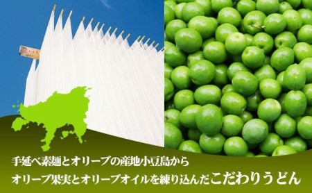 【 小豆島 】オリーヴの森 手延べ半生オリーヴうどん 小豆島産 オリーヴオイル仕立て 6ケパック 手延べ うどん 饂飩 ウドン 麺 麺類 半生 オリーブ オイル 香川 香川県 土庄 土庄町
