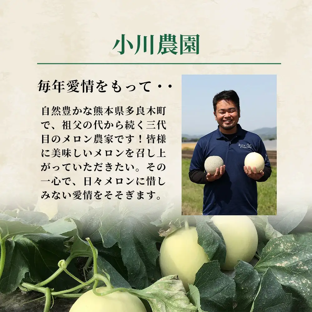 【2027年5月上旬発送開始】【先行予約】熊本県産 アンデスメロン 2玉 約2.5kg以上 ご予約 令和9年 先行 メロン めろん フルーツ 果物 くだもの アンデス 甘い ジューシー 果実 糖度14度以上 旬の果物 旬のフルーツ 旬 熊本 熊本県 多良木 4月終了 083-0697