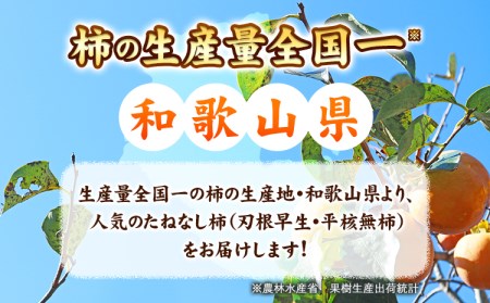たねなし柿約7.5kg