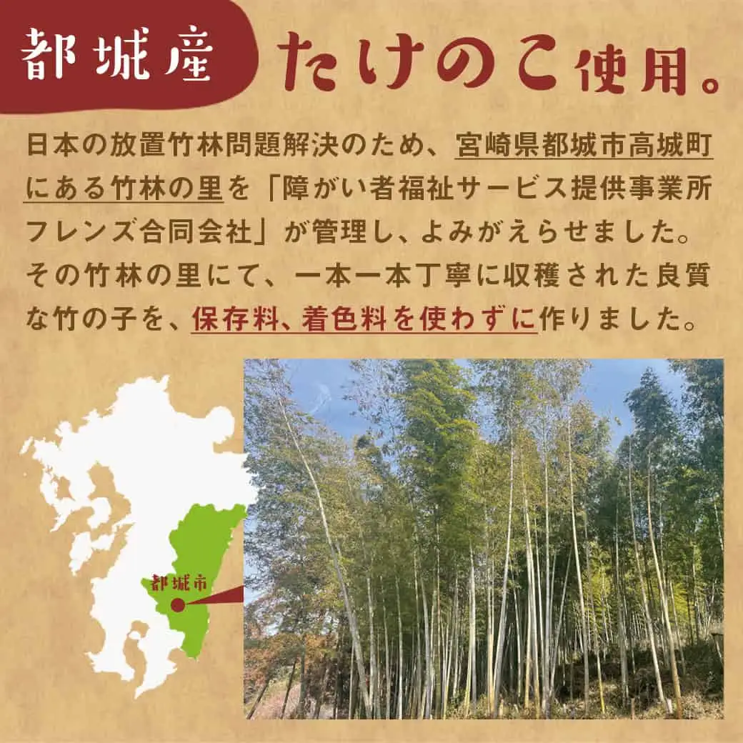 【お試し♪】万能食材☆優しい都城産メンマ※ポスト投函 - 国産メンマ 80g×2パック 保存料・着色料不使用 宮崎県都城産タケノコ おつまみ ラーメン/パスタ/和え物など〔LB-9204-PF〕