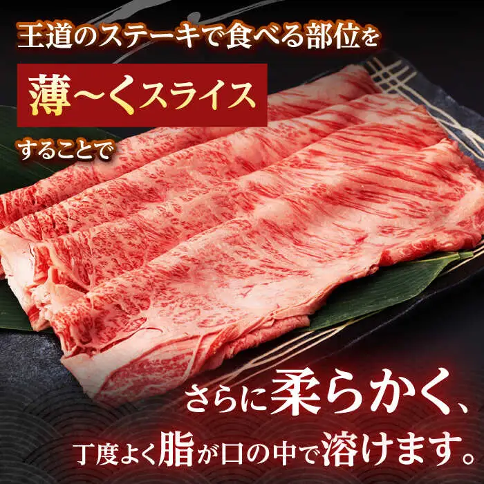【全12回定期便】 リブロース サーロイン 500g 希少部位 長崎和牛 A4?A5ランク【肉のふじた】 [AG13] 肉 牛肉 ローススライス リブロース サーロイン しゃぶしゃぶ すき焼き 定期便