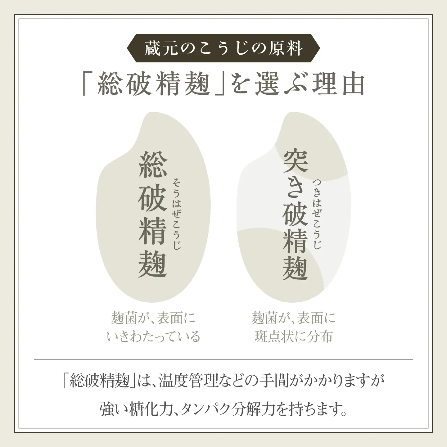 甘酒 蔵元のこうじ2本セット [BRCP002]