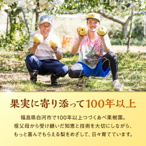 《2026年秋出荷》味が濃い梨 豊水約2.5kg（5～8玉） F24R-120