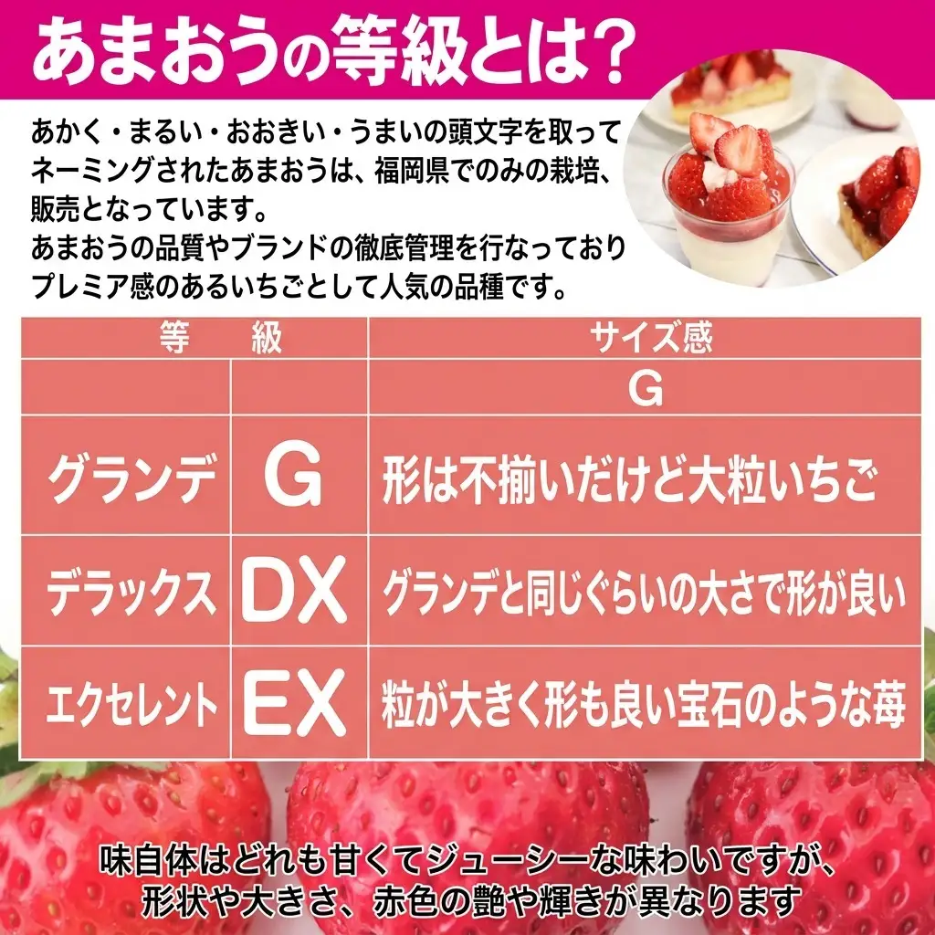 あまおう DX等級以上 約300g×2パック ※配送不可：北海道・東北・沖縄・離島 果物 苺 フルーツ デザート 旬 大粒 中玉 大玉 旬のあまおう 福岡の特産品 