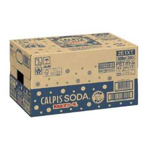 【定期便】カルピスソーダ（500mL×24本）〔12回配送〕156-002
