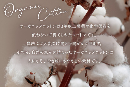 オーガニックコットン 綿毛布 シングルサイズ ニューマイヤー アイボリー 1枚 OGMM-1 天然素材 綿100% 快眠 快適 熟睡 睡眠 洗える 洗濯可能 丸洗い可能 [3215]