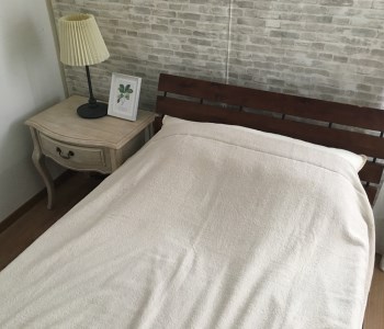 TEXSAS COTTON 100% タオルケット シングル ベージュ 1枚 SNT-20TXBE [3231]