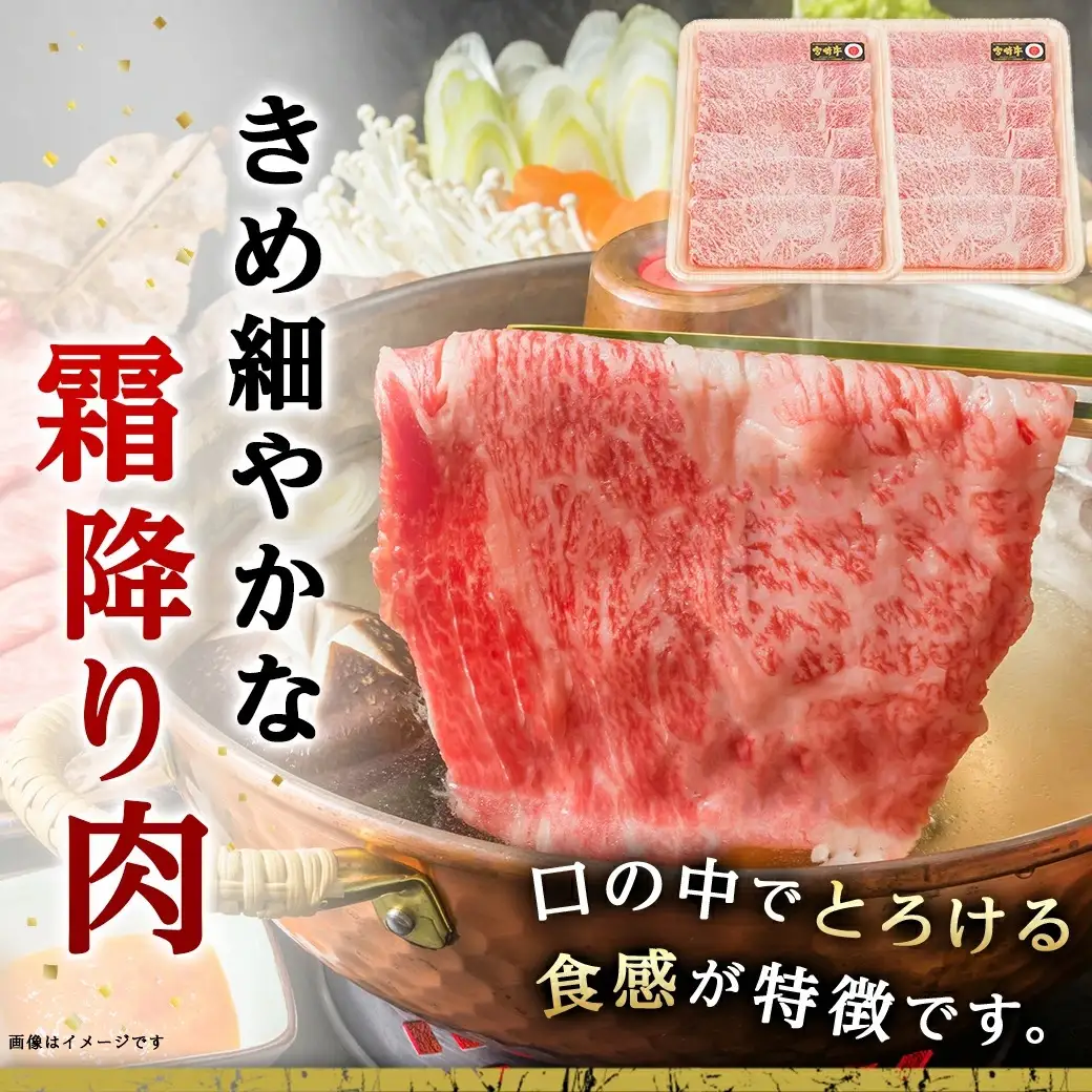 宮崎牛霜降りスライス500g×赤身牛すきスライス500gセット〔AE-I5-005〕_(都城市) 都城産宮崎牛 霜降りスライス 赤身スライス 4等級以上 牛肉 肉 ロース ミスジ モモ ウデ