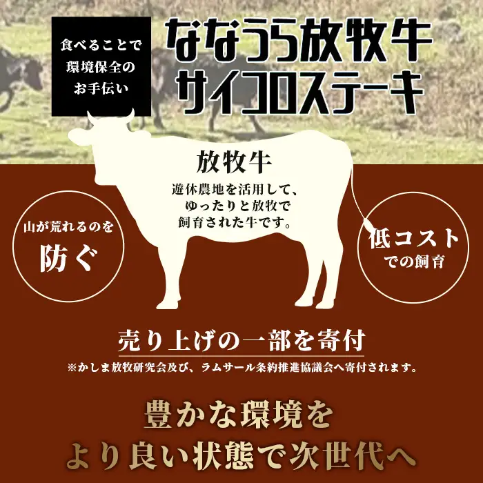 B-574 ななうら放牧牛 サイコロステーキ 300g×4袋【合計1.2kg】