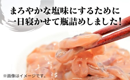 イカの塩辛 3本 セット 《壱岐市》【株式会社マルショウ】  沖漬け 塩辛 いか  おつまみ セット 詰め合わせ [JEW001] 16000 16000円