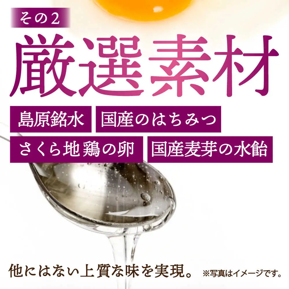 長崎カステラ 五三焼 ハニー 500g×2本 [SBI011] カステラ