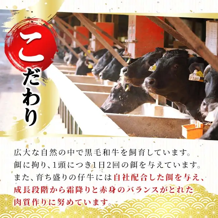 n164 黒毛和牛 リブロース 焼きしゃぶ 用 500g 国産 鹿児島 牛肉 A4ランク 和牛 ロース しゃぶしゃぶ 冷凍 【株式会社Meat you】