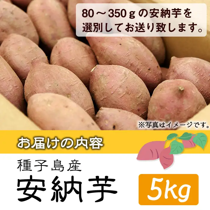 数量限定 安納芋 5kg 種子島 さつまいも 野菜 K-GAP 【砂坂展恵】n173