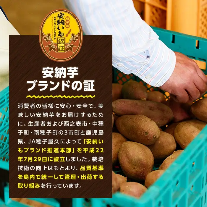 数量限定 安納芋 5kg 種子島 さつまいも 【あぐりの里】n078