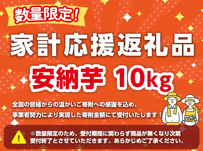 安納芋 さつまいも 10kg 生活 家計 応援 【種子島安納株式会社】n080-n