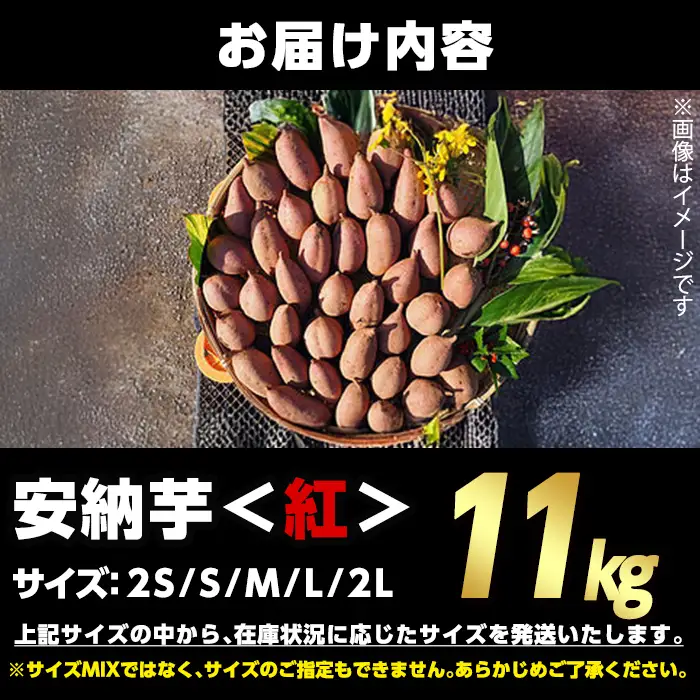 安納芋 さつまいも 紅 11kg 種子島産 【うずえ屋】 n481