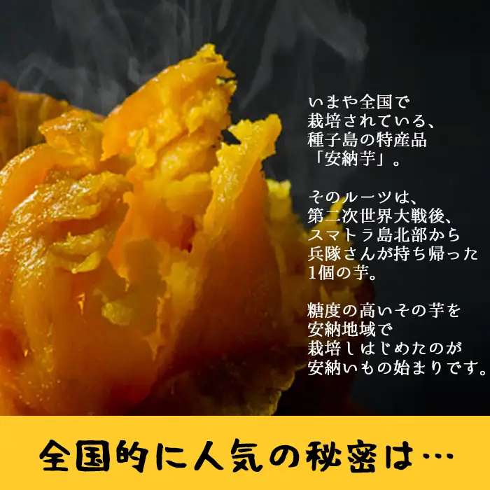 安納芋 さつまいも 10kg【永濱農園】n084