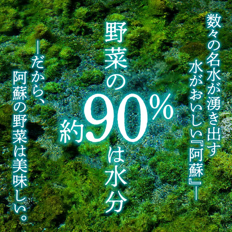 季節のお野菜セットと阿部牧場ののむヨーグルト800ml×2本