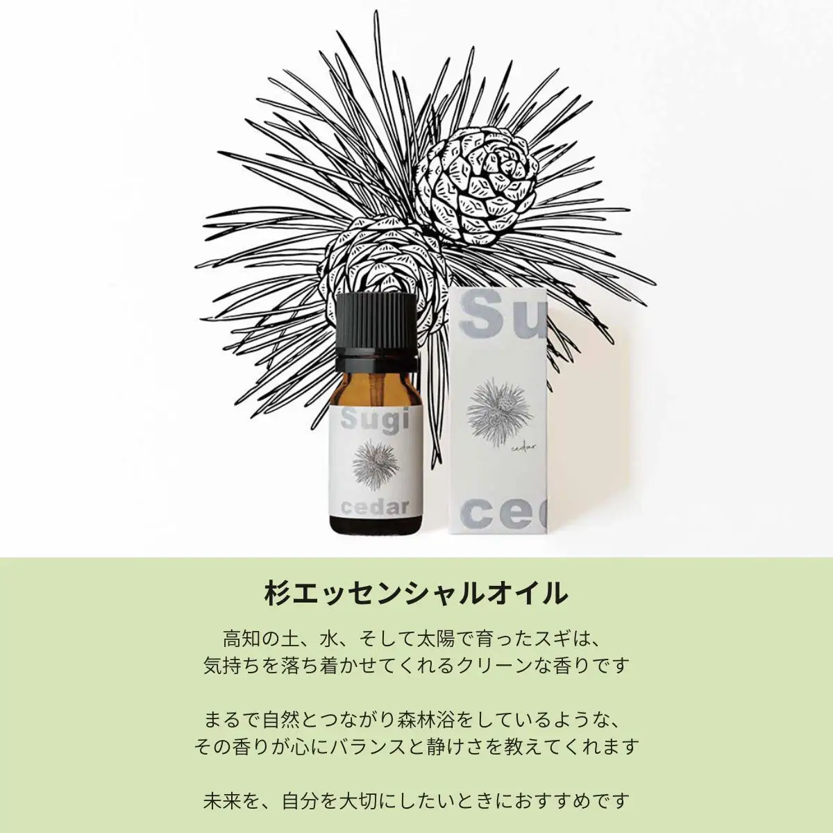 高知県産木材を使った天然成分100％の杉エッセンシャルオイル 8ml 高知県土佐市 【有限会社戸田商行】 [BQCA002]