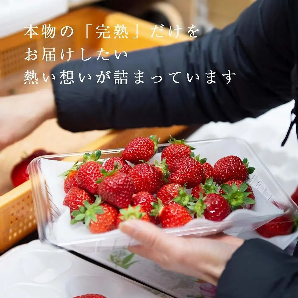 【2027年1月～4月出荷分予約販売】★たっぷり1000g！★ミニサイズの「完熟あまおう」セット