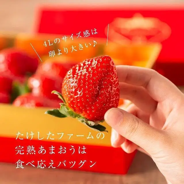 【2027年1月～4月出荷分予約販売】★希少4Lサイズ 450g ★赤のVIPボックスに入った宝石のような「完熟あまおう」！