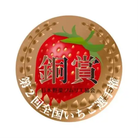 埼玉県長瀞町産　厳選大粒いちご(あまりん)【配送不可地域：離島・北海道・沖縄県・中国・四国・九州】【1209396】
