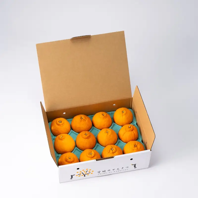 【2027年先行予約】デコポン 2.4kg みかん 【2027年3月上旬から順次発送予定】 人気 数量限定 柑橘 愛媛 伊予市｜B32