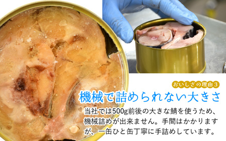 鯖缶詰6缶詰め合わせA / さば缶 缶詰 サバ 魚 小浜市 / 福井缶詰 [BFAB031]