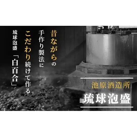 IK-9 池原酒造 白百合 600ml 30度 12本セット 