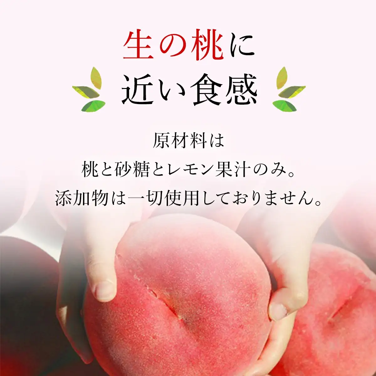 マルサフルーツ古屋農園 大人気♪桃のコンポート 5個セット 088-025 ※常温配送