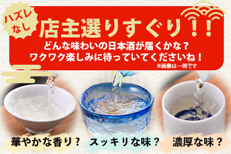 【訳あり】熟成貯蔵酒 日本酒バラエティセット｜純米大吟醸・純米吟醸など数種類からお届け 清酒 飲み比べセット 佐賀県鹿島市 D-181