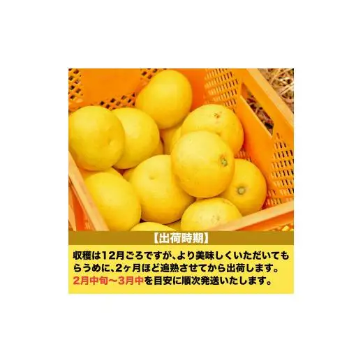 【早期予約】 国産 訳あり 文旦 10kg 旬 季節 新鮮 ぶんたん みかん オレンジ 柑橘 果物 フルーツ 果肉 果汁 産地 直送 デザート スイーツ ゼリー ジュース アイス ケーキ おすすめ 送料無料 贈答 ギフト お歳暮 年末 年始 お正月 高知県 須崎市 AWA010_x