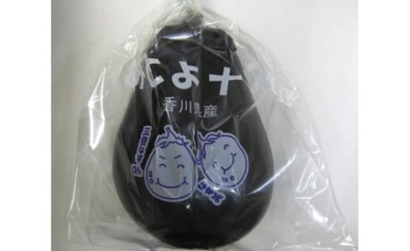 三豊市特産とろける果肉「三豊なす」約2㎏