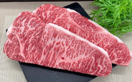 伊賀牛 ヒレステーキ（約180g×2枚）＆サーロインステーキ（約200g×2枚）セット 伊賀牛 【cook0043】
