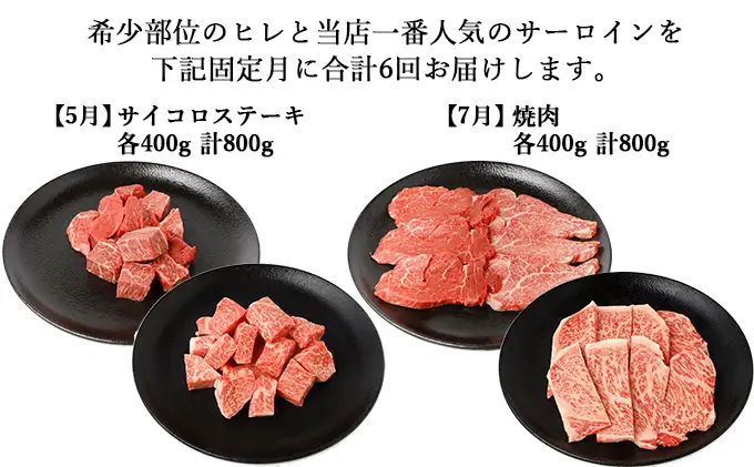 伊賀牛 【年6回】A5ヒレ・サーロイン 定期便B 総合計約4.7kg【dido-tkb0007】