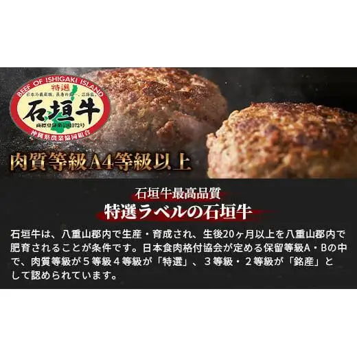 石垣牛ハンバーグ 120g×6個 AB-16-1