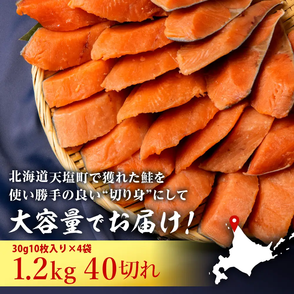 北海道産 鮭の切り身 30g10枚入×4袋〈北るもい漁業協同組合 天塩支所〉