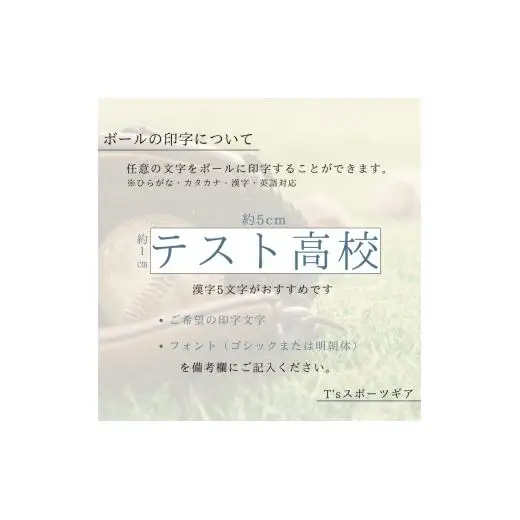 【ネーム入り】社会人・大学・高校用硬式練習試合球 （T’sマーク入り・6球） 2025/9/19～