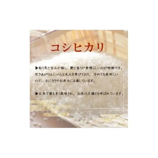 【令和8年産 新米】 コシヒカリ5kg