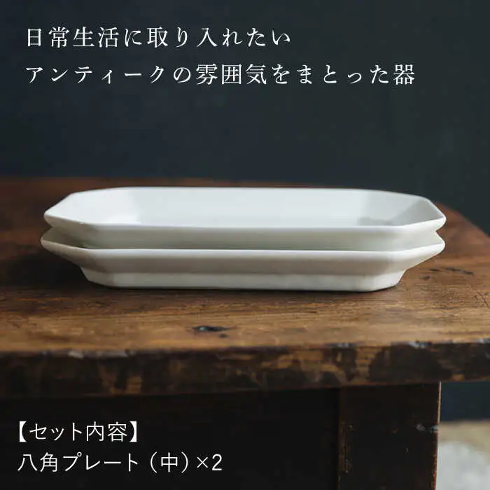 【波佐見焼】八角 プレート (中) 白マット釉 2枚セット 食器 皿【イロドリ】[KE37] 波佐見焼