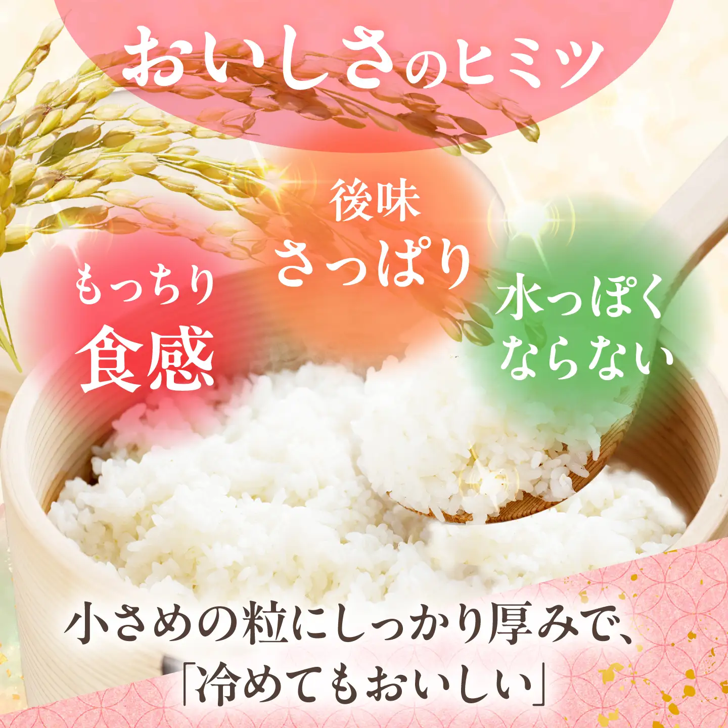 【令和6年度米】【全12回定期便】ヒノヒカリ 白米 5kg×12回 計60kg 波佐見町産【冨永米穀店】 [ZF06]