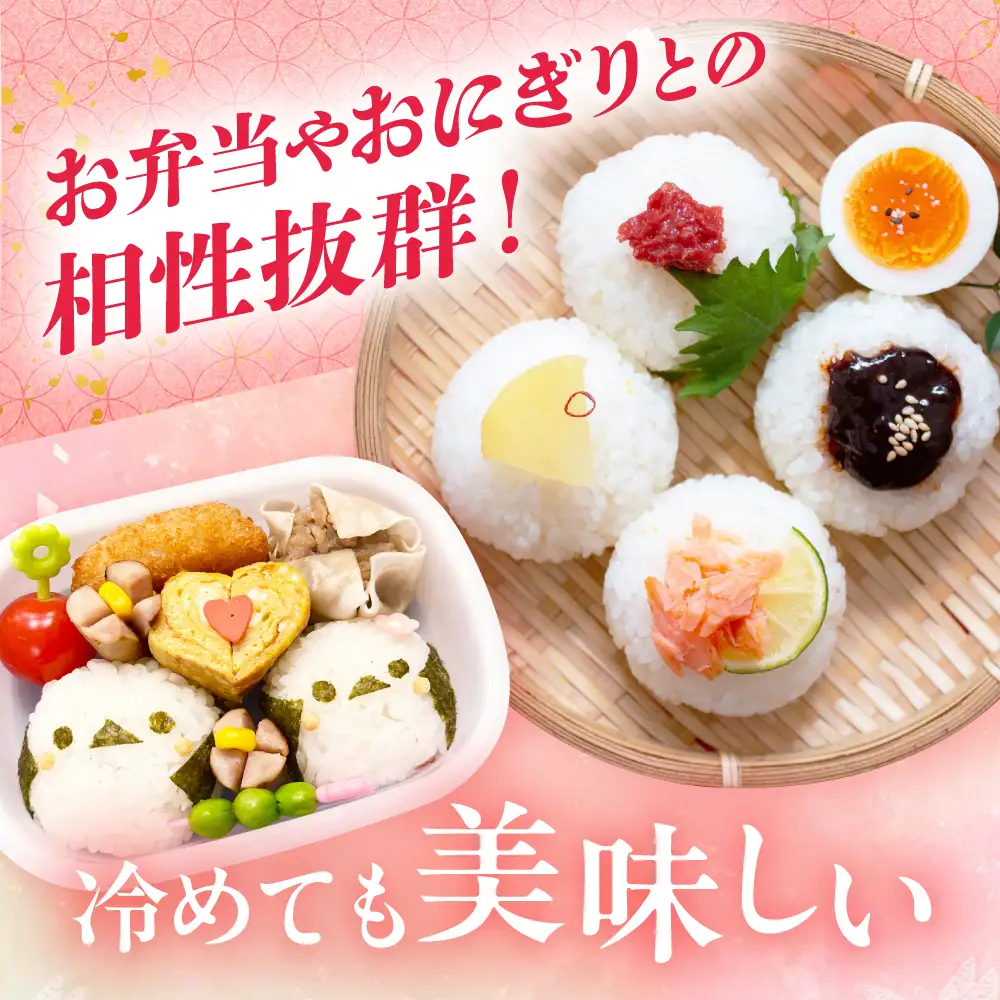 【令和6年度米】【全12回定期便】なつほのか 白米 5kg×12回 計60kg  波佐見町産【冨永米穀店】 [ZF12]