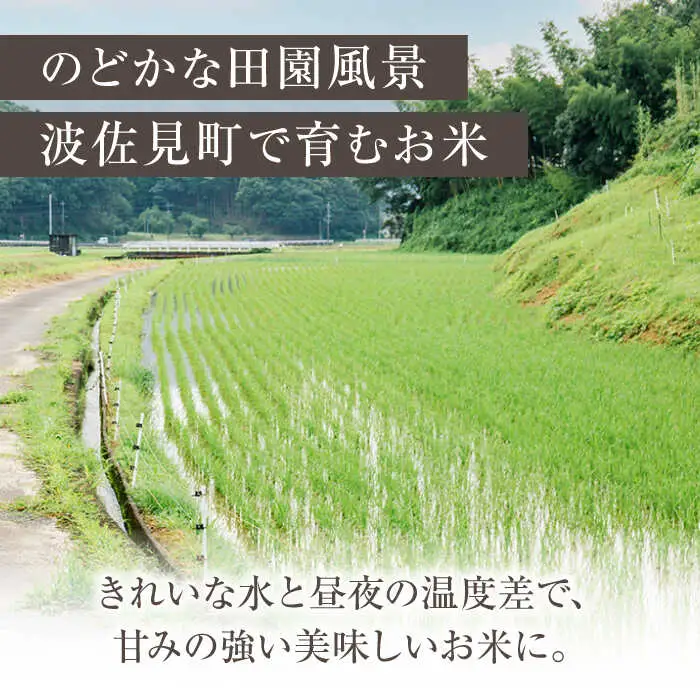 【令和7年度米】にこまる 白米 5kg×2 計10kg  波佐見町産【冨永米穀店】 [ZF15]