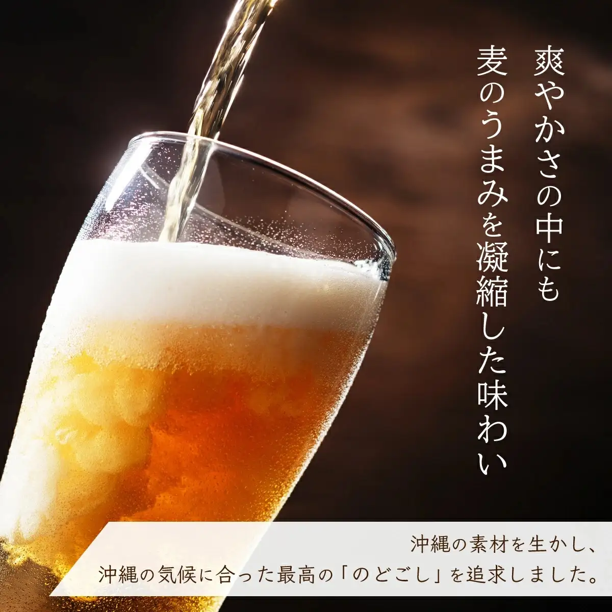 オリオンビール ザ・ドラフト 350ml缶 24本