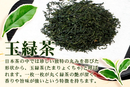 期間限定増量【ギフトにおすすめ】佐賀県産 うれしの茶 (やぶきた茶) 100g×5本【合計500g】美味しいお茶を贈り物に B-570