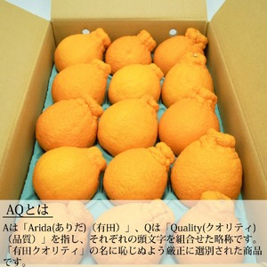 【2027年先行予約】和歌山県産 AQ デコポン 5kg 秀品 (12～24玉)_DN6012n